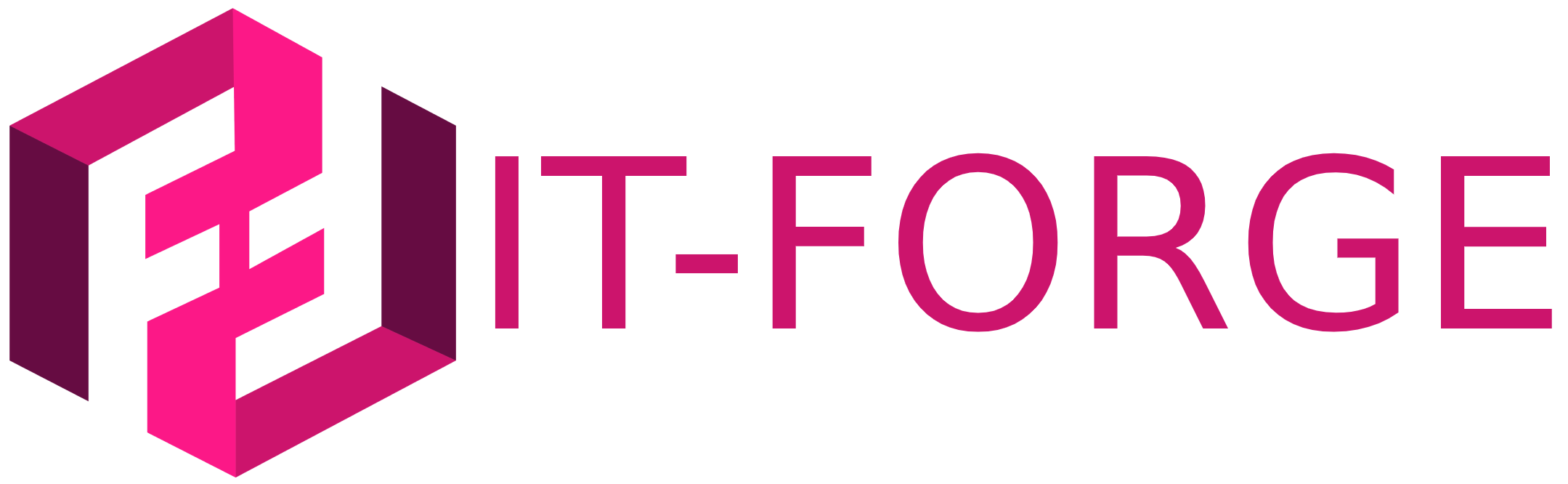 Logo IT-Forge